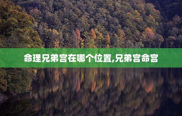 命理兄弟宫在哪个位置,兄弟宫命宫
