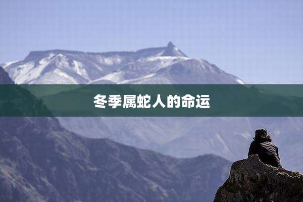 冬季属蛇人的命运