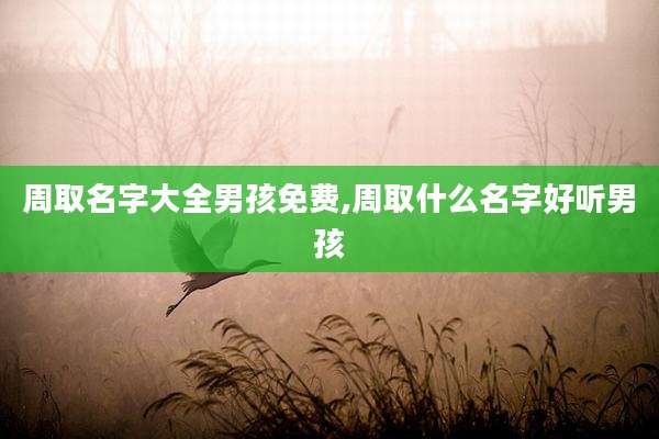 周取名字大全男孩免费,周取什么名字好听男孩