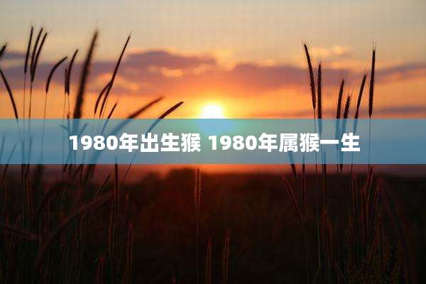 1980年出生猴 1980年属猴一生