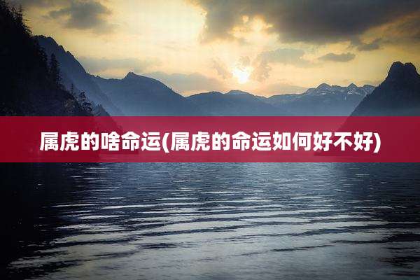 属虎的啥命运(属虎的命运如何好不好)