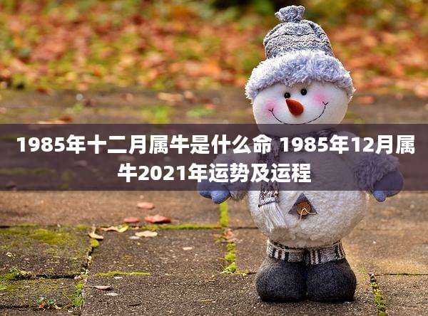 1985年十二月属牛是什么命 1985年12月属牛2021年运势及运程