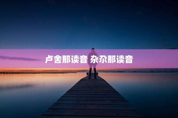 卢舍那读音 杂尕那读音