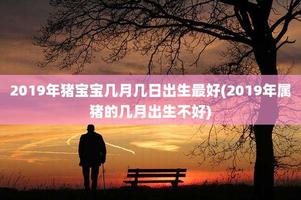 2019年猪宝宝几月几日出生最好(2019年属猪的几月出生不好)