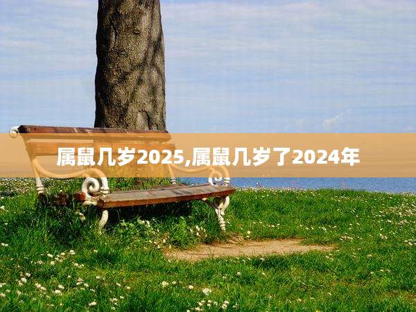 属鼠几岁2025,属鼠几岁了2024年