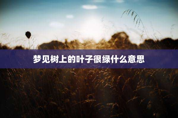 梦见树上的叶子很绿什么意思