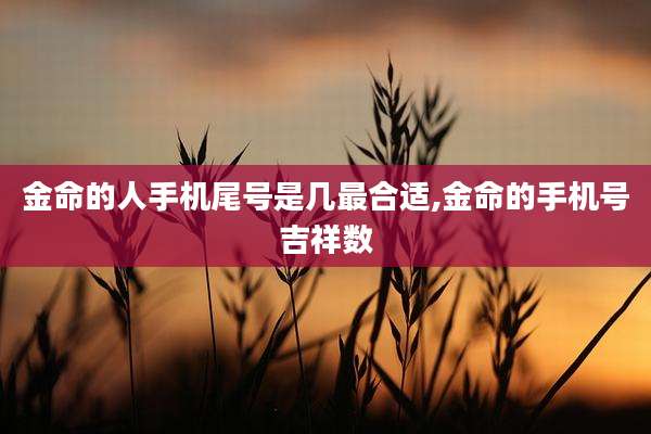 金命的人手机尾号是几最合适,金命的手机号吉祥数