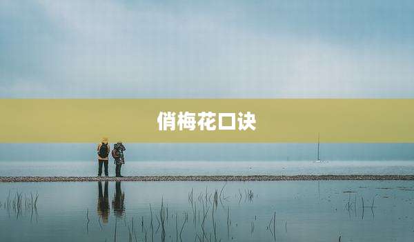 俏梅花口诀