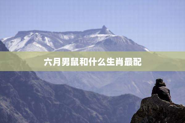 六月男鼠和什么生肖最配