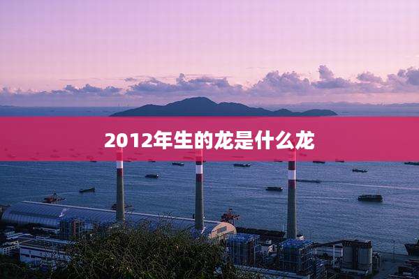2012年生的龙是什么龙