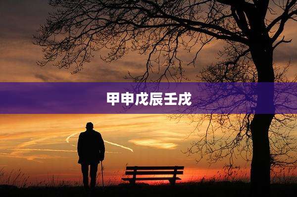 甲申戊辰壬戌