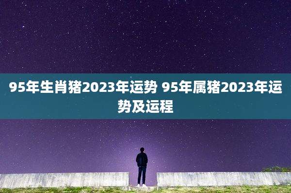 95年生肖猪2023年运势 95年属猪2023年运势及运程