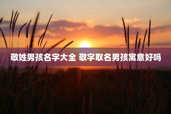 敬姓男孩名字大全 敬字取名男孩寓意好吗