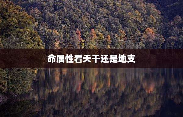 命属性看天干还是地支