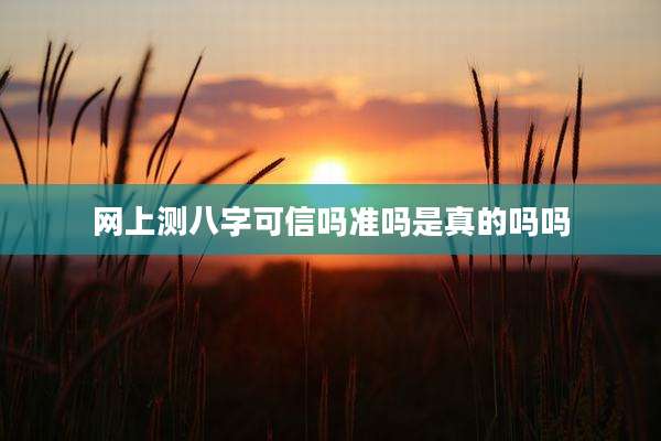 网上测八字可信吗准吗是真的吗吗