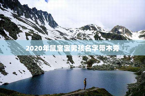2020年鼠宝宝男孩名字带木旁