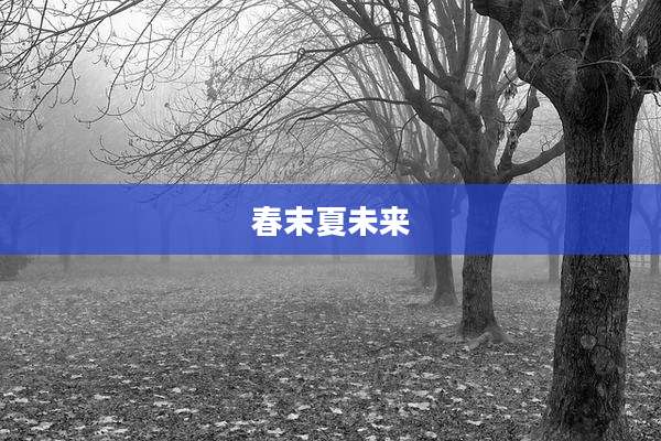 春末夏未来