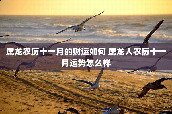 属龙农历十一月的财运如何 属龙人农历十一月运势怎么样