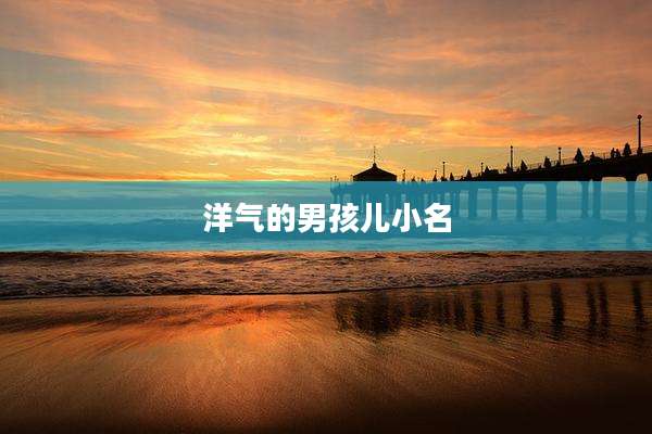 洋气的男孩儿小名