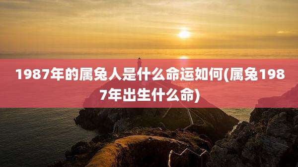 1987年的属兔人是什么命运如何(属兔1987年出生什么命)