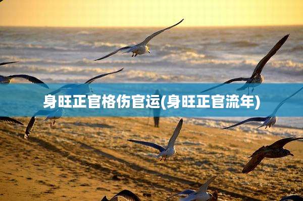 身旺正官格伤官运(身旺正官流年)