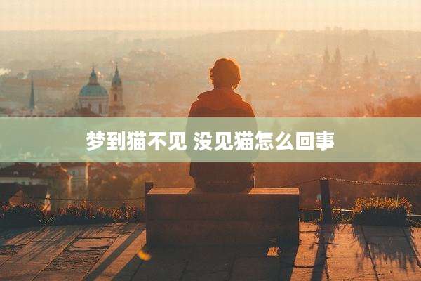 梦到猫不见 没见猫怎么回事