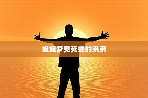 姐姐梦见死去的弟弟