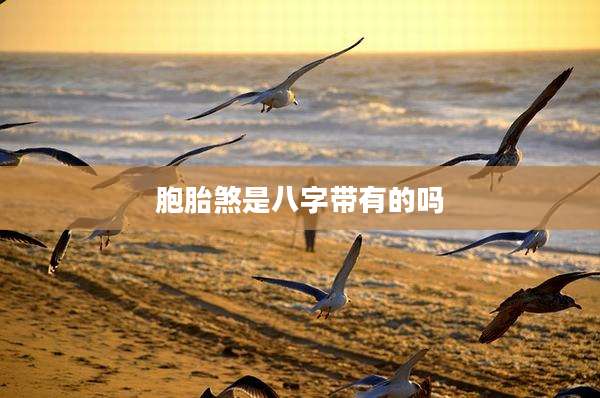 胞胎煞是八字带有的吗