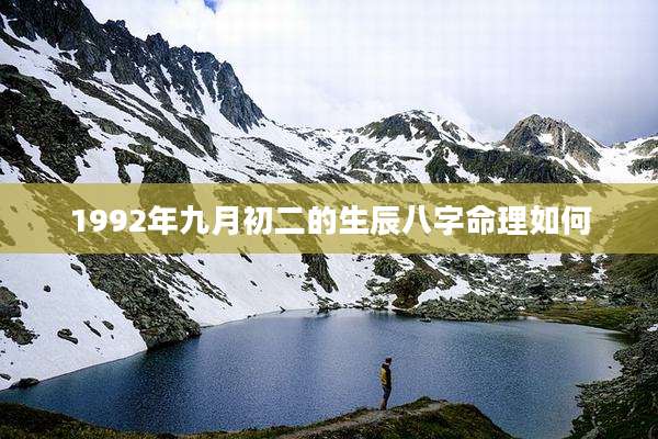 1992年九月初二的生辰八字命理如何