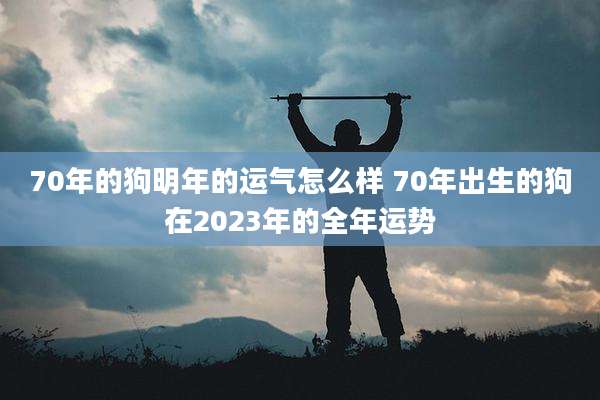 70年的狗明年的运气怎么样 70年出生的狗在2023年的全年运势