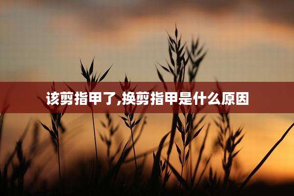 该剪指甲了,换剪指甲是什么原因