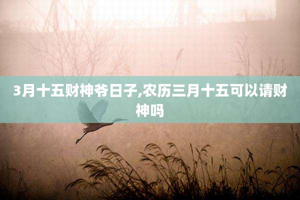 3月十五财神爷日子,农历三月十五可以请财神吗