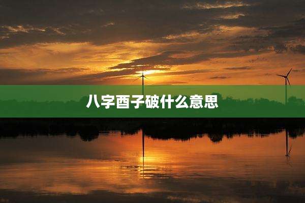 八字酉子破什么意思