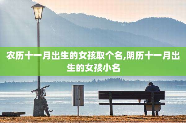 农历十一月出生的女孩取个名,阴历十一月出生的女孩小名