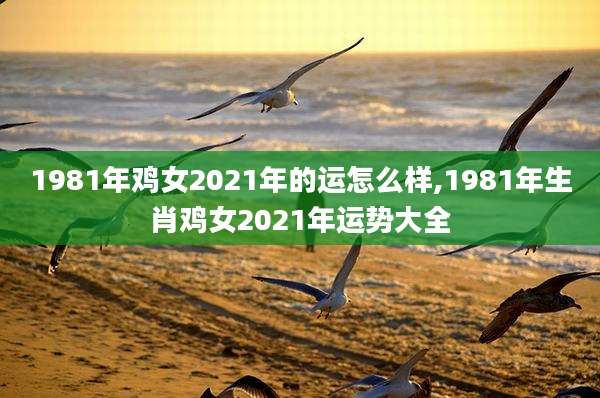 1981年鸡女2021年的运怎么样,1981年生肖鸡女2021年运势大全