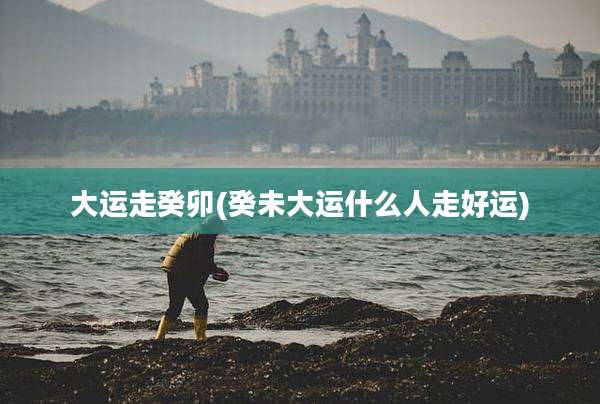 大运走癸卯(癸未大运什么人走好运)