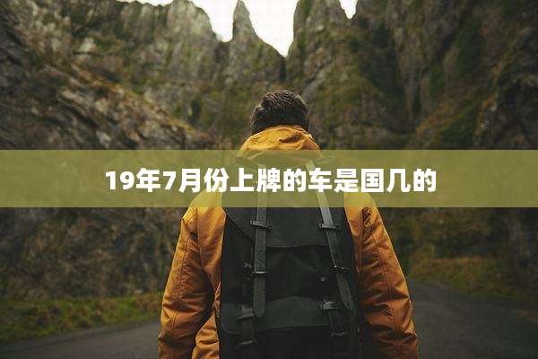 19年7月份上牌的车是国几的