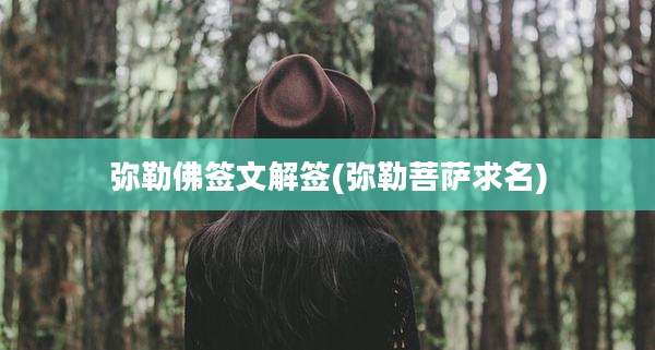 弥勒佛签文解签(弥勒菩萨求名)