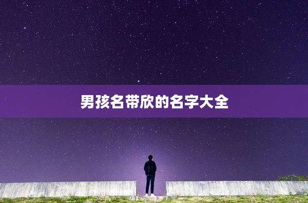 男孩名带欣的名字大全