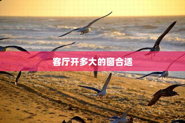 客厅开多大的窗合适