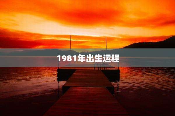 1981年出生运程