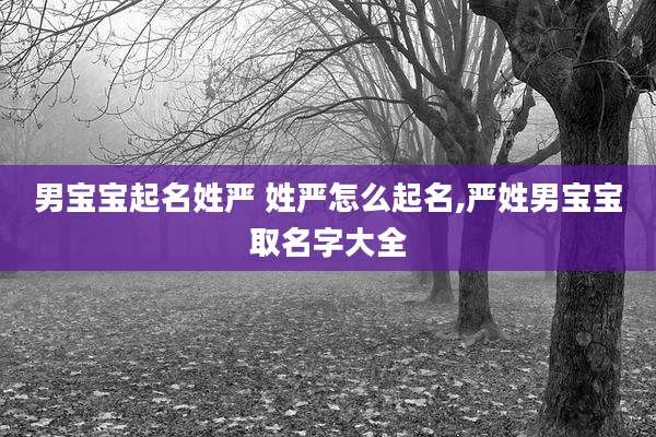 男宝宝起名姓严 姓严怎么起名,严姓男宝宝取名字大全