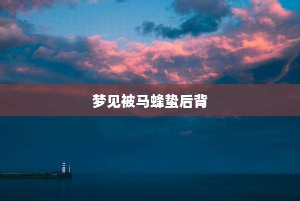 梦见被马蜂蛰后背