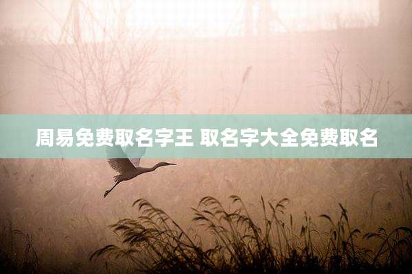 周易免费取名字王 取名字大全免费取名