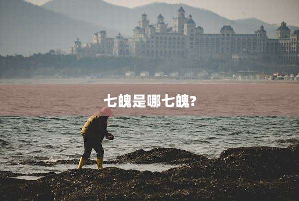 七魄是哪七魄?