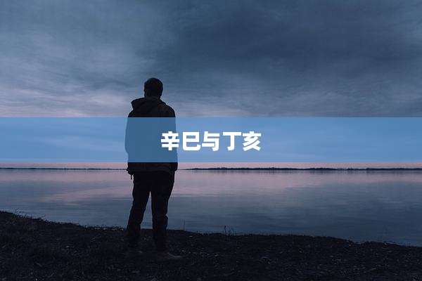 辛巳与丁亥