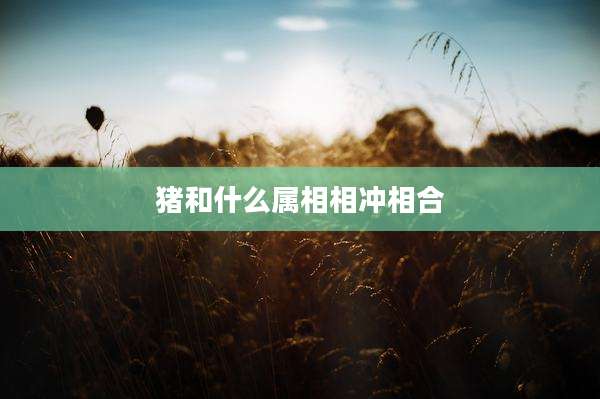 猪和什么属相相冲相合