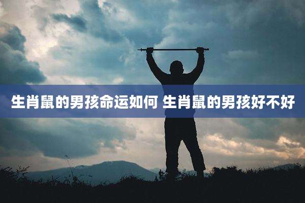 生肖鼠的男孩命运如何 生肖鼠的男孩好不好