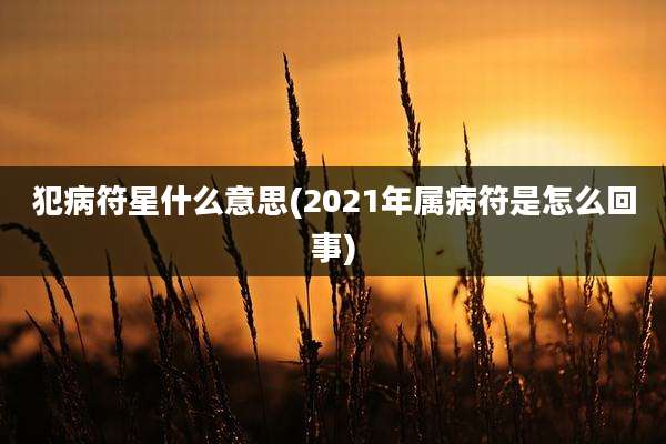 犯病符星什么意思(2021年属病符是怎么回事)