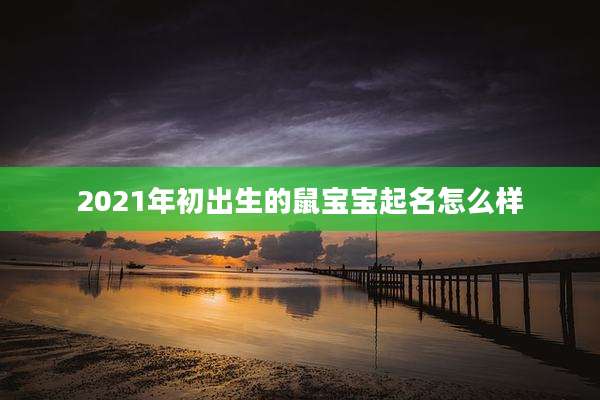 2021年初出生的鼠宝宝起名怎么样